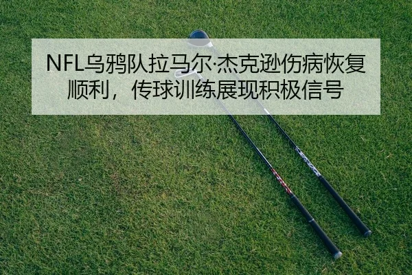 wu-ya-dui-la-ma-er-jie-ke-xun-shang-bing-hui-fu-shun-li-chuan-qiu-xun-lian-zhan-xian-ji-ji-xin-hao-2-679.jpg